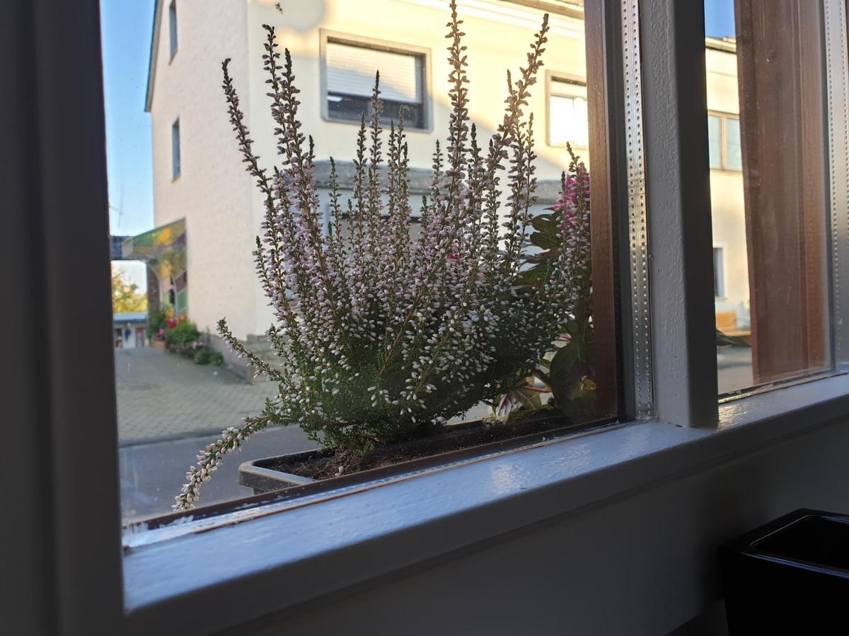 Duex-Hof Apartment Fachwerkhaus Bornheim  Kültér fotó